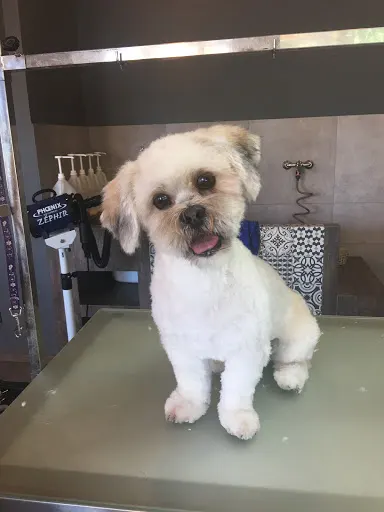 The Groom Room Białystok